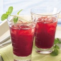 Cocktail Cramberry Mint Cooler